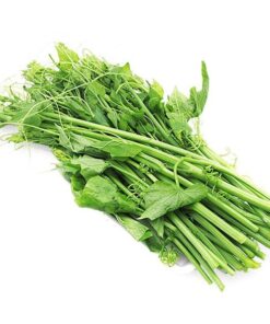 Ngọn su su Organic 300g